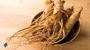 Rhodiola Ingredient